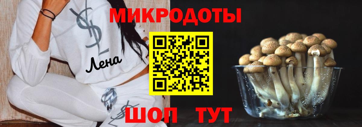 Псилоцибиновые грибы мицелий Мончегорск